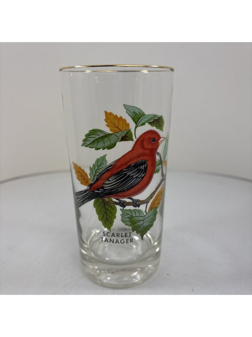 “Scarlet Tanager” Vintage 12oz Flat Tumbler By West Virginia Glass Specialty